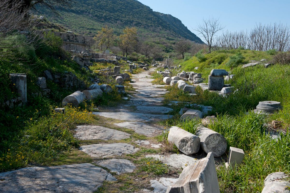 Calzada antigua de losas de piedra entre columnas caídas y hierba de primavera en la parte alta de Éfeso, junto a la Puerta de Magnesia