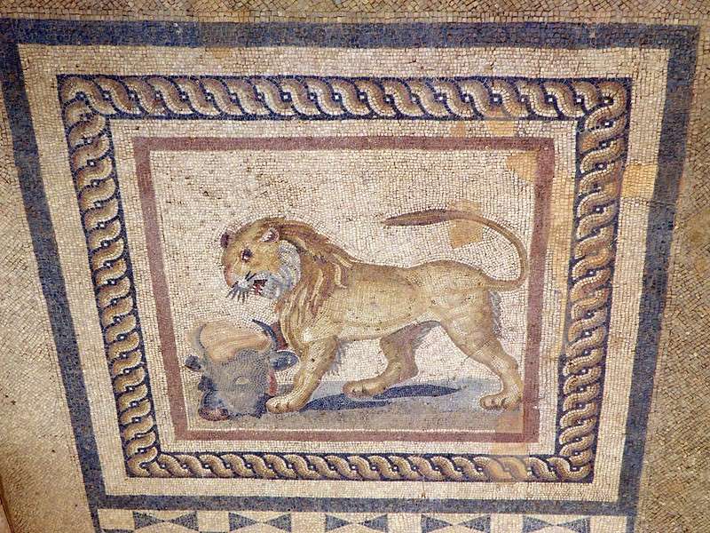 Mosaico romano de suelo con un león, conservado en las Casas Terraza de Éfeso