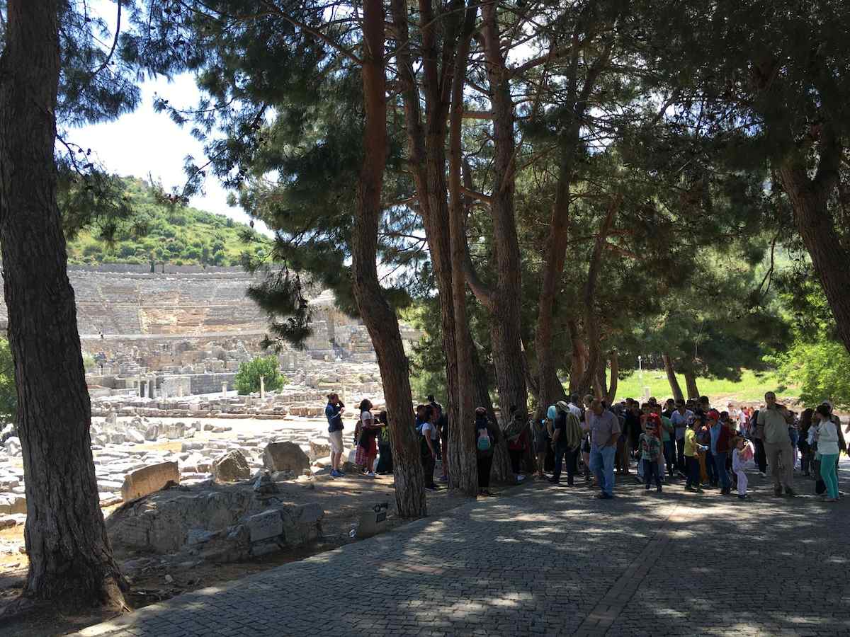 Un grupo numeroso de visitantes a la sombra de los pinos, en el camino adoquinado de la parte baja de Éfeso, con el Gran Teatro al fondo